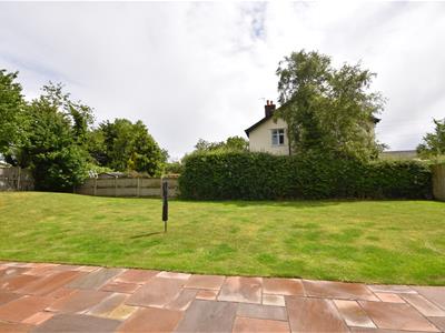 Picture 25